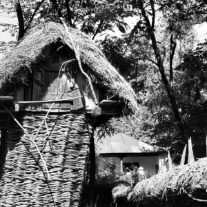 Romanian Village Museum in Bucharest, 1969. 