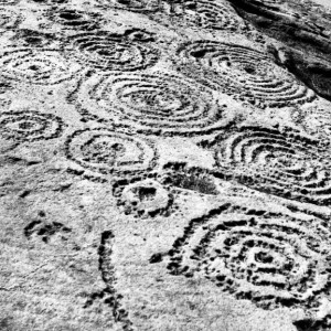 Petroglyphs of SILS CHAVENNA. Visit on May 25, 1970. Several concentric circles with connecting lines.